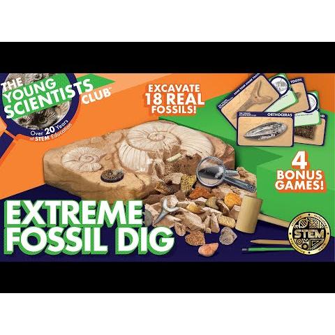 Extreme Fossil Dig 208004