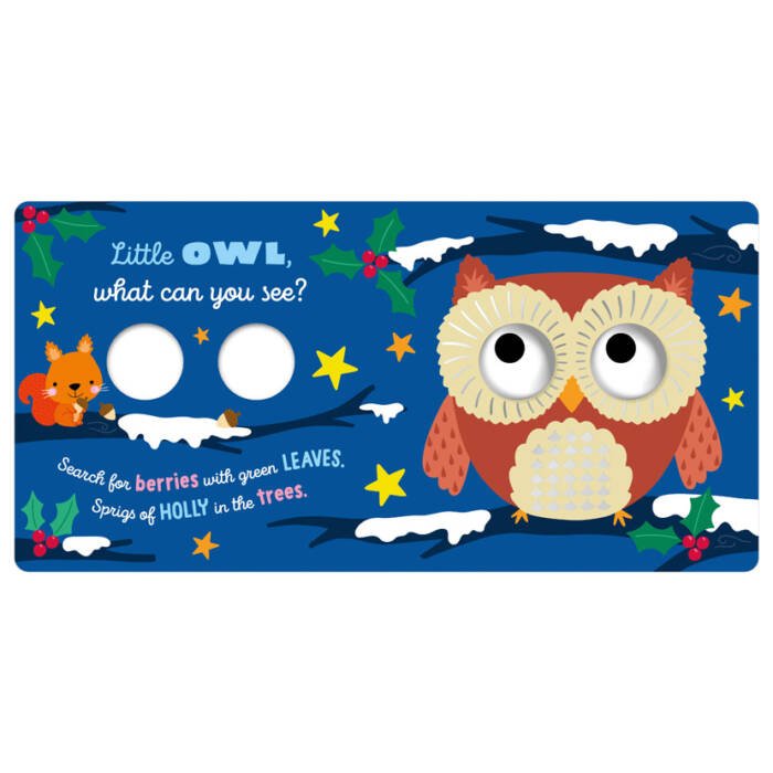 What Can You See | Little Reindeer Board Book 1+