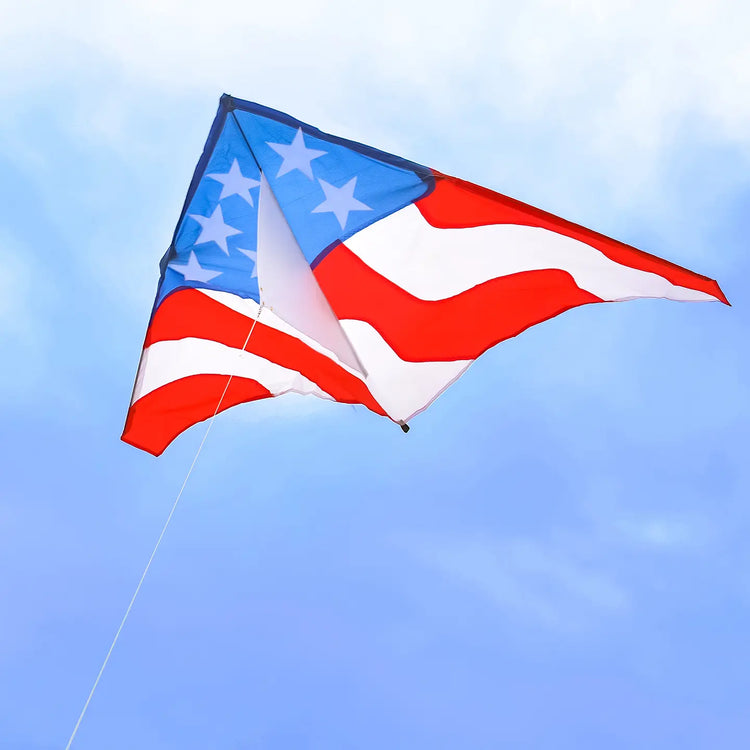 Kite | Patriotic Delta Kite 57" - 2