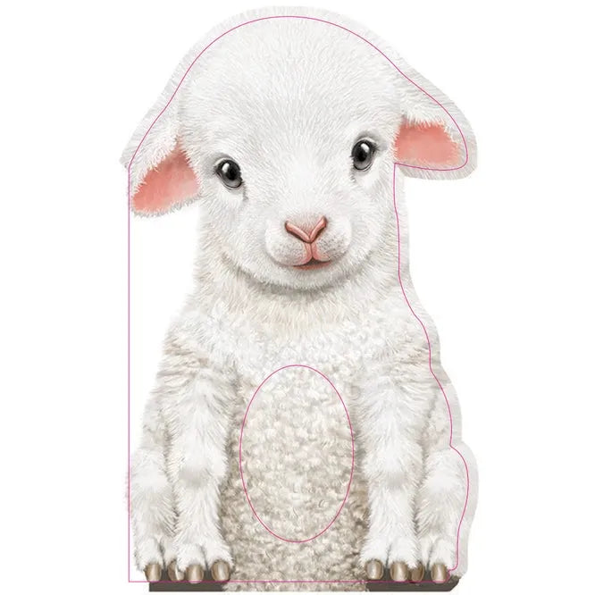 Furry Lamb Boardbook