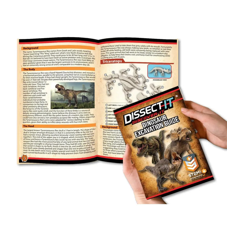 Discover-It Dinosaur Dig 1152-9906
