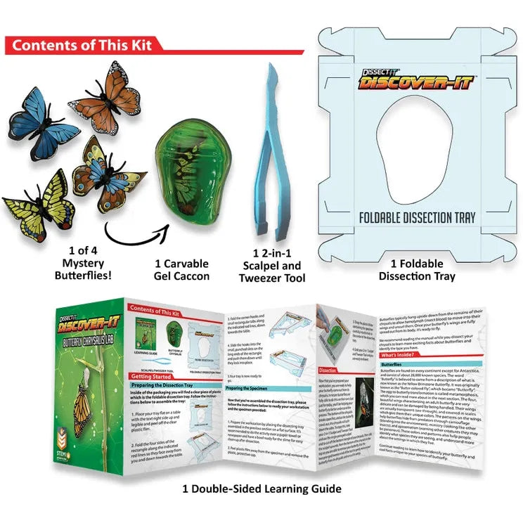 Discover-It Butterfly Metamorphosis Lab 1123-9912
