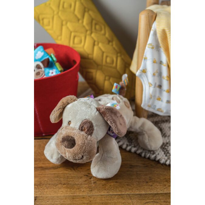 Taggies Soft Toy | Buddy Dog 0+ - 4
