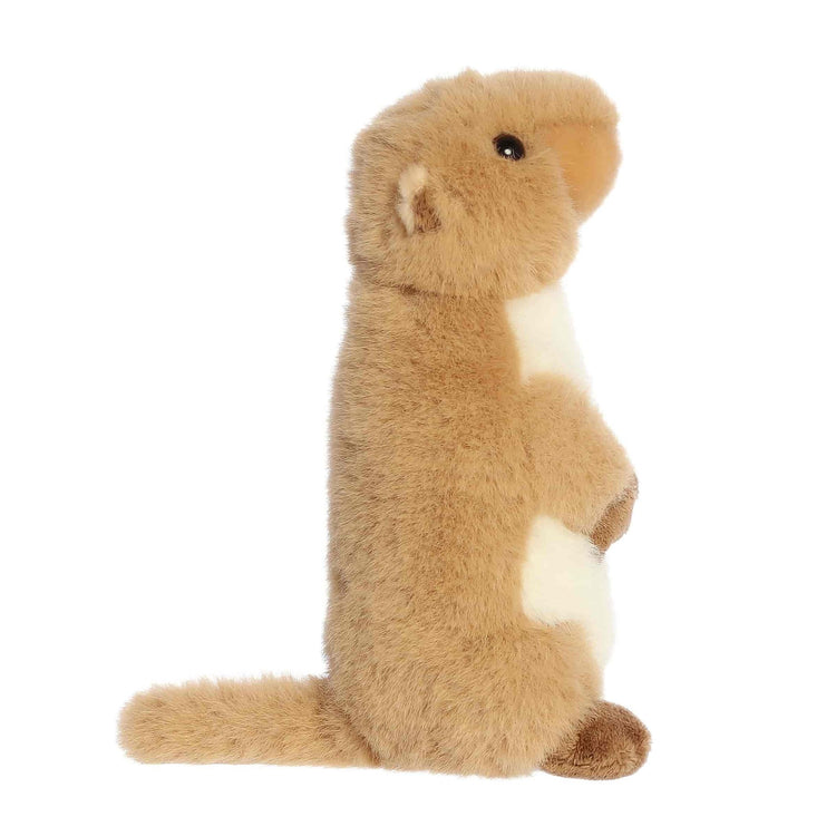 MF | Clover Prairie Dog 8" Plush - 3