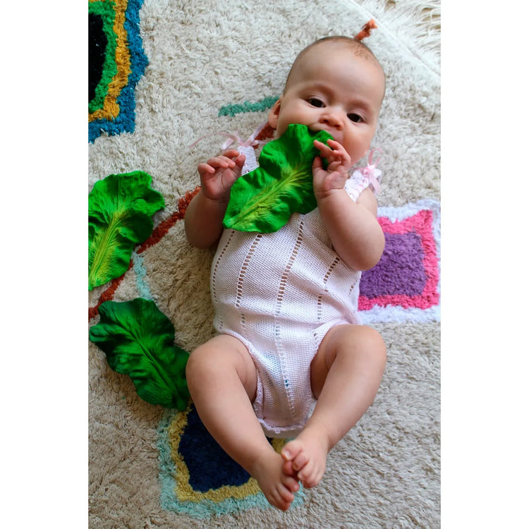 Oli & Carol Kendall the Kale Teether 0+ - 2