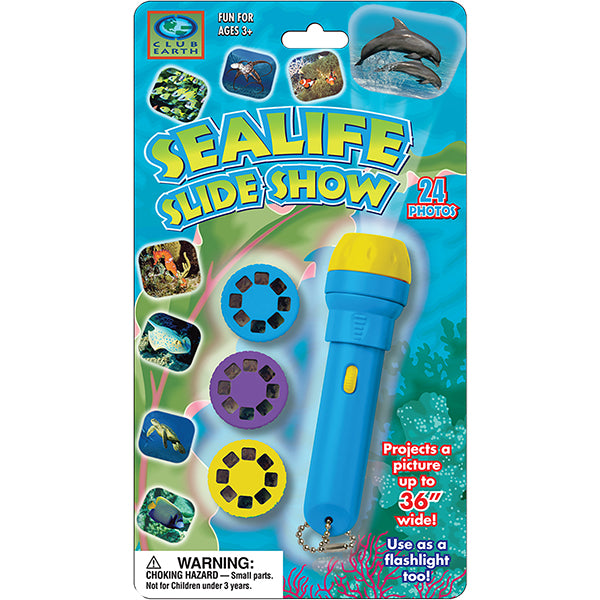 Slide Show | Sealife