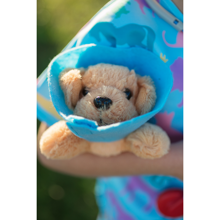 Veterinarian Set Size 5-6