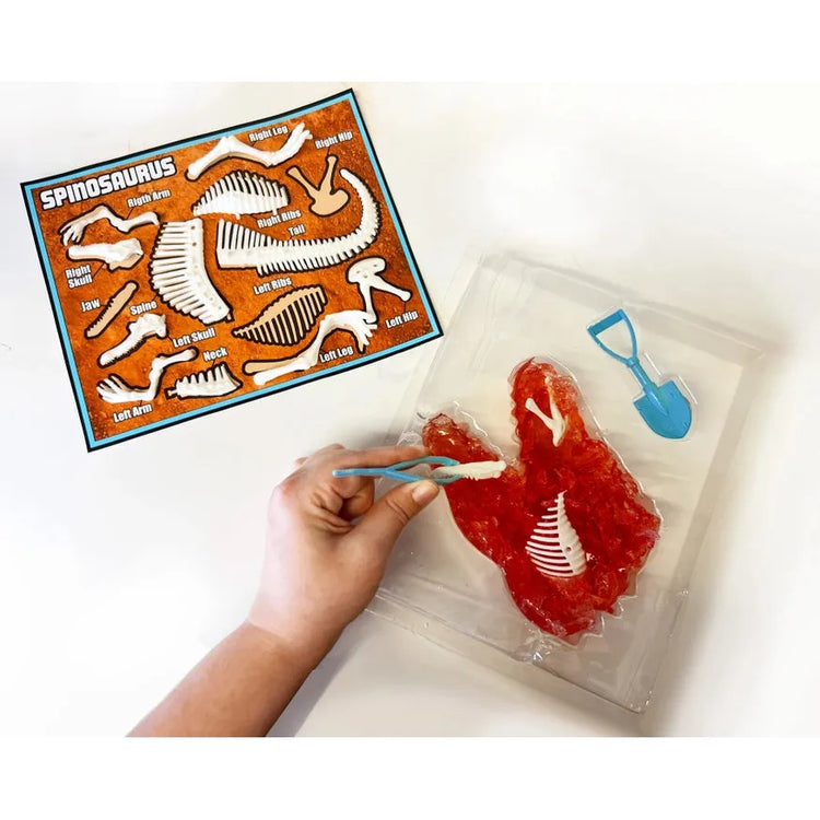 Discover-It Dinosaur Dig 1152-9906