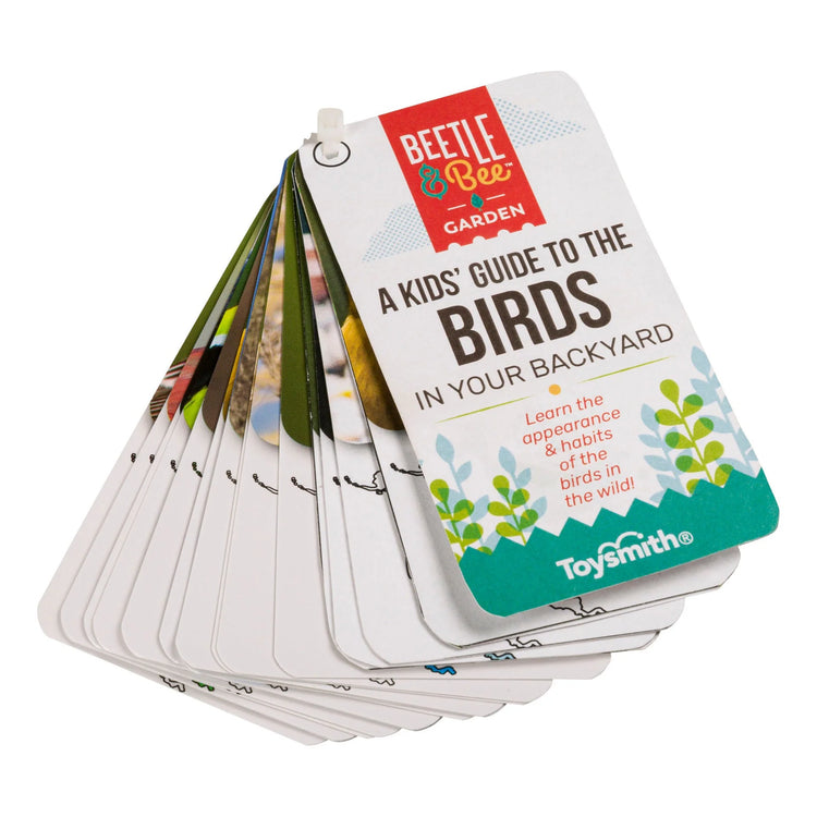 Beetle & Bee | Little Birder Set-Bird Watching for Kids 5+ - 2