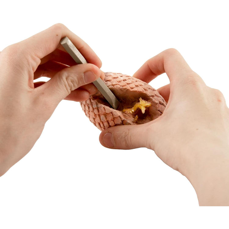 I Dig It! Dragons - Dragon Egg 601638