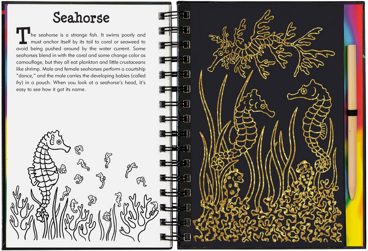 Open Coral Reefs Scratch and Sketch book showing seahorse coloring page and golden scratch art