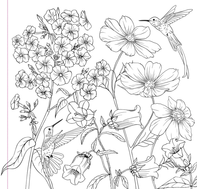 Coloring Book Adult | Wildflowers 8+ - 4