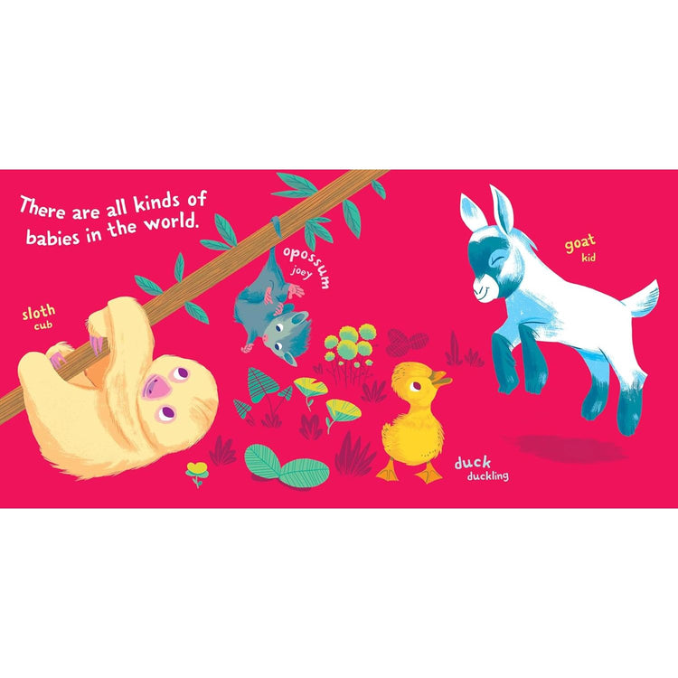 Indestructibles | Baby Animals 0+ - 2