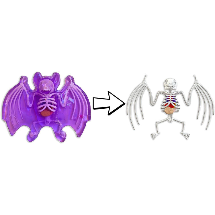 Dissect-It | Bat Lab Tst-1084