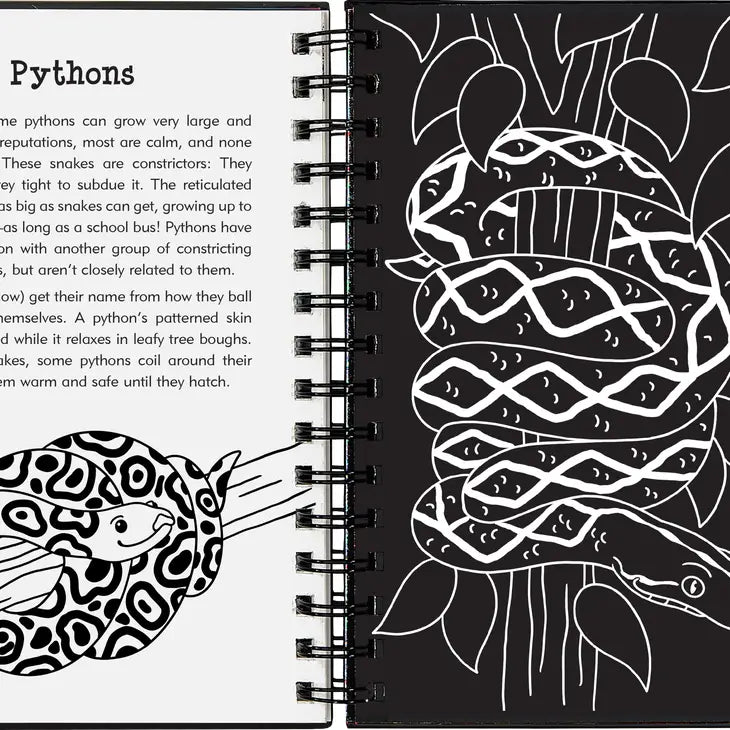 Scratch & Sketch | Reptiles & Amphibians 1310