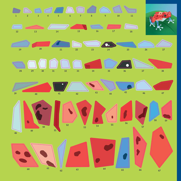 Paint By Sticker Kids | Rainforest Animals 5+ - 7