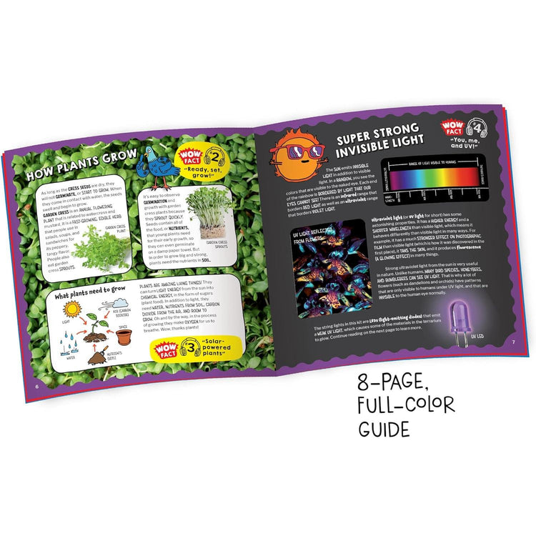 Wow In The World | Light-Up Terrarium 545003