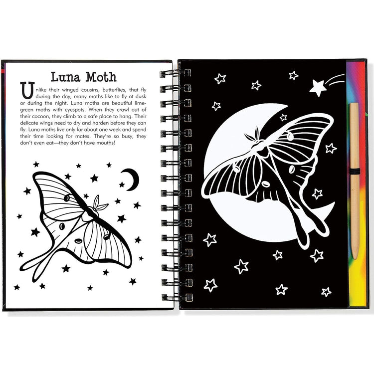 Scratch & Sketch | Butterflies And Friends 5+ - 7