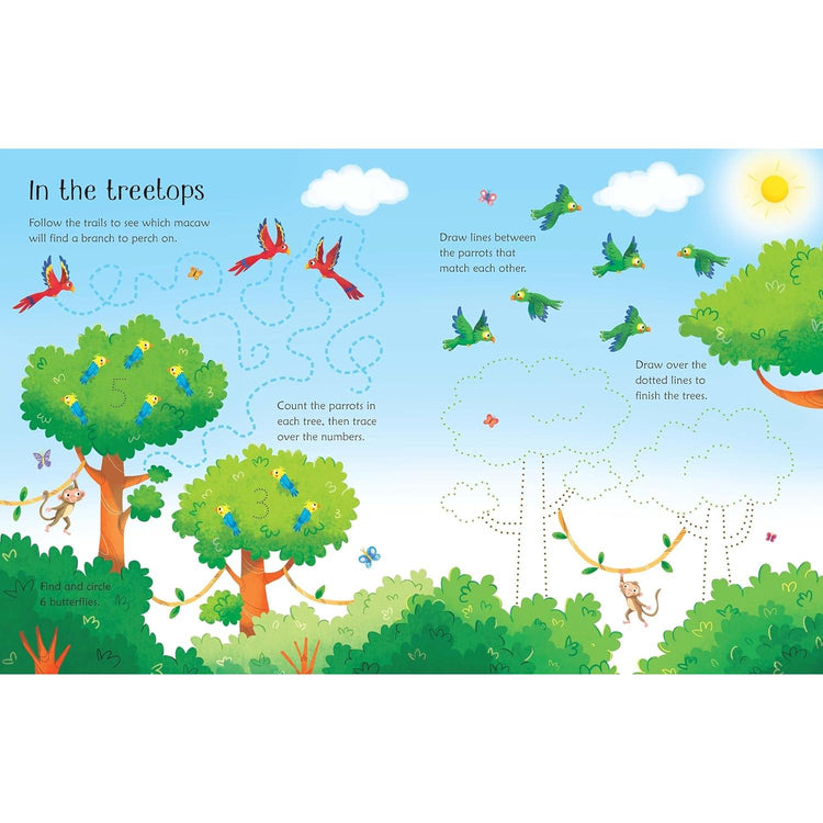 Wipe-Clean | Jungle Activities