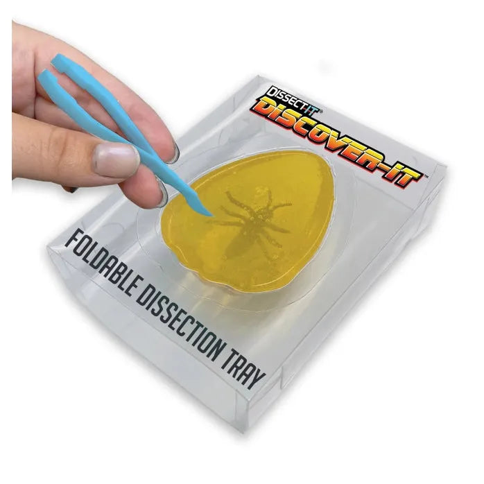 Discover-It Ancient Amber Lab 1125-9912