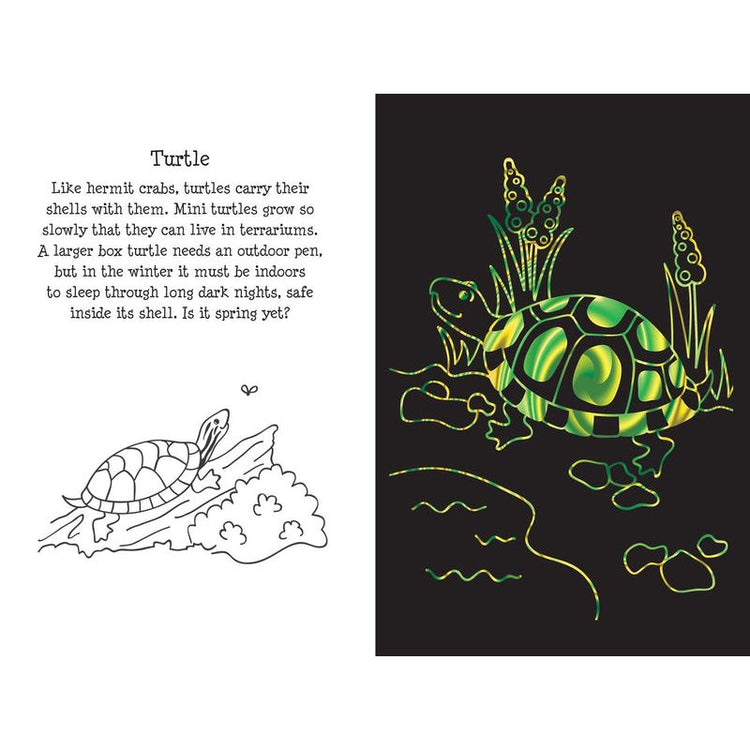 Scratch & Sketch | Pet Shop 5+ - 4