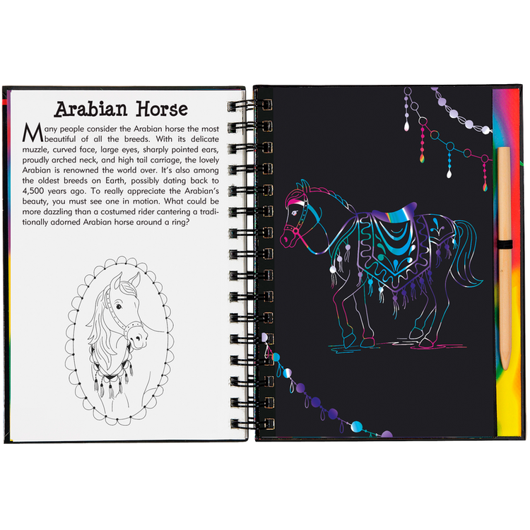 Scratch & Sketch | Horses 5+ - 6