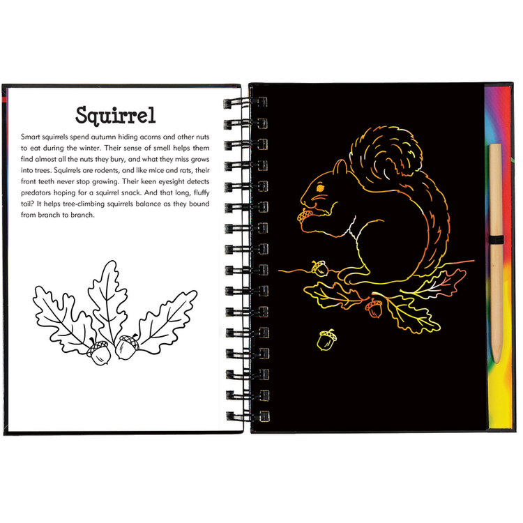 Scratch & Sketch | Forest Friends 5+ - 2