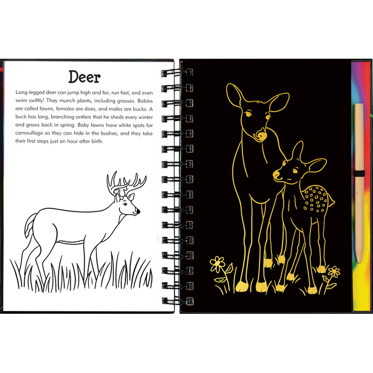 Scratch & Sketch | Forest Friends 5+ - 4