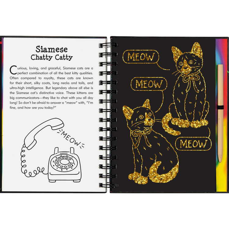 Scratch & Sketch | Kittens 5+ - 3