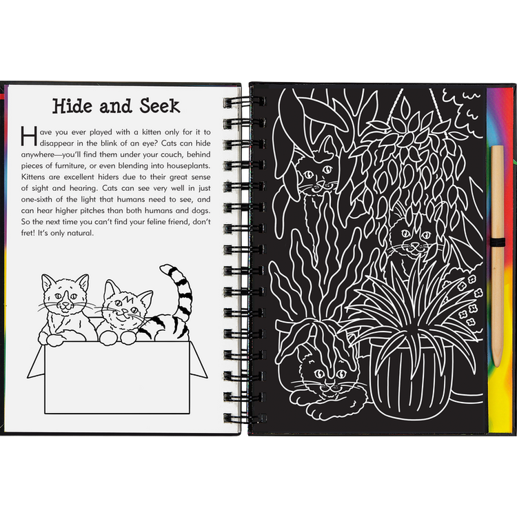 Scratch & Sketch | Kittens 5+ - 4