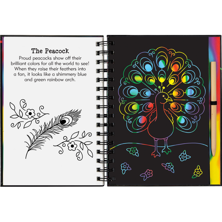 Scratch and Sketch | Magic Rainbow 5+ - 6