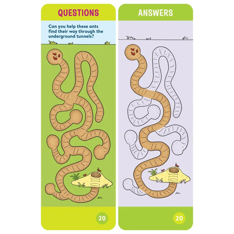 Brain Quest | Pre-Kindergarten Smart Cards Revised 5th Edition - 3