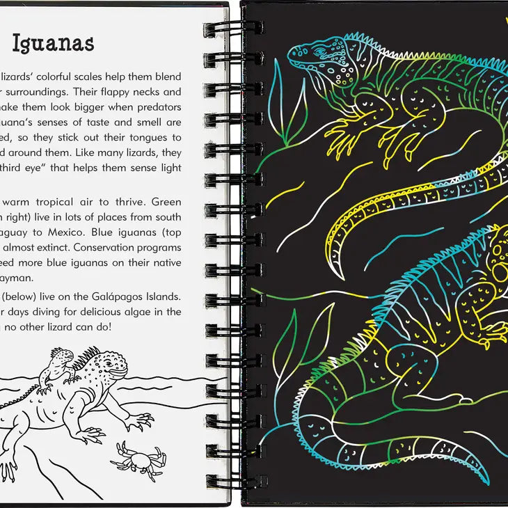 Scratch & Sketch | Reptiles & Amphibians 1310