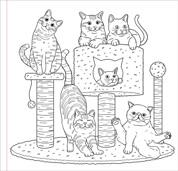 Coloring Book Adult | Cute and Curious Cats 8+ - 3