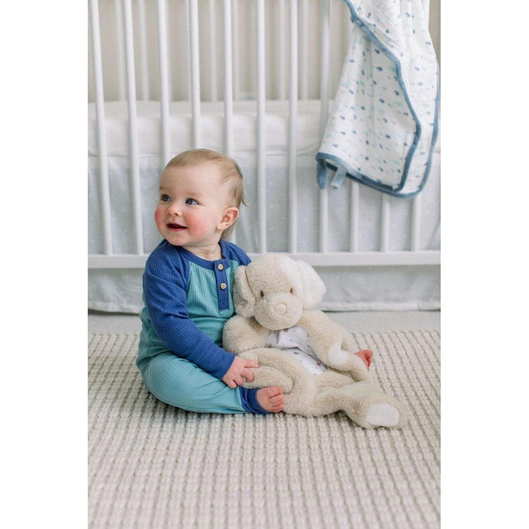 Sshlumpie | Auggie Tan Puppy 1452