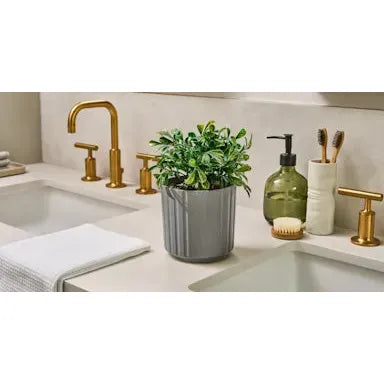 Lifelines Plant Diffuser | |Boxwood Plant Ribbed Gray 11-1611