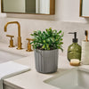 Lifelines Plant Diffuser | Boxwood Plant Ribbed Gray Essential Oil Diffuser - CR Toys