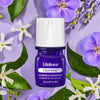 Lifelines | Clickwick | In Bloom Jasmine & Germanium Diffuser Fragrance - CR Toys
