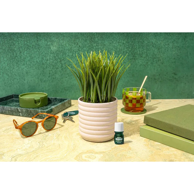 Lifelines Plant Diffuser | |Grass Plant Bubble White 11-1608