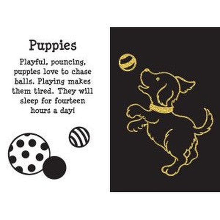 Scratch & Sketch | Furry Friends 7788