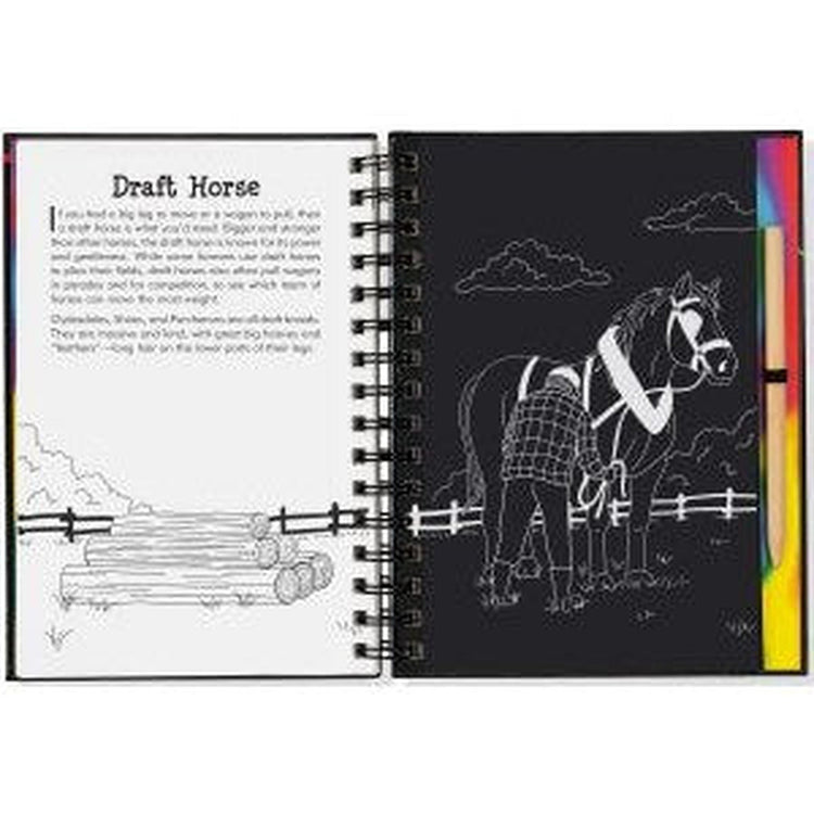 Scratch & Sketch | Horses 2517