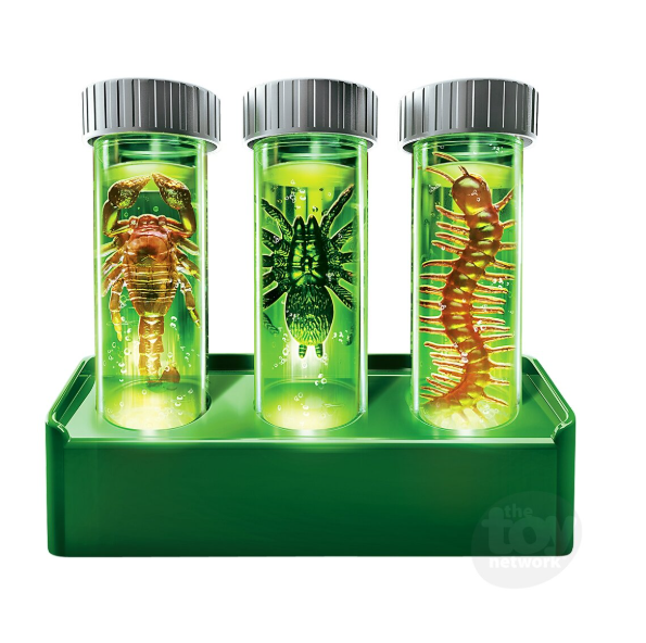 Kidzlabs | Creepy Crawley Digging Lab 5+ - 2