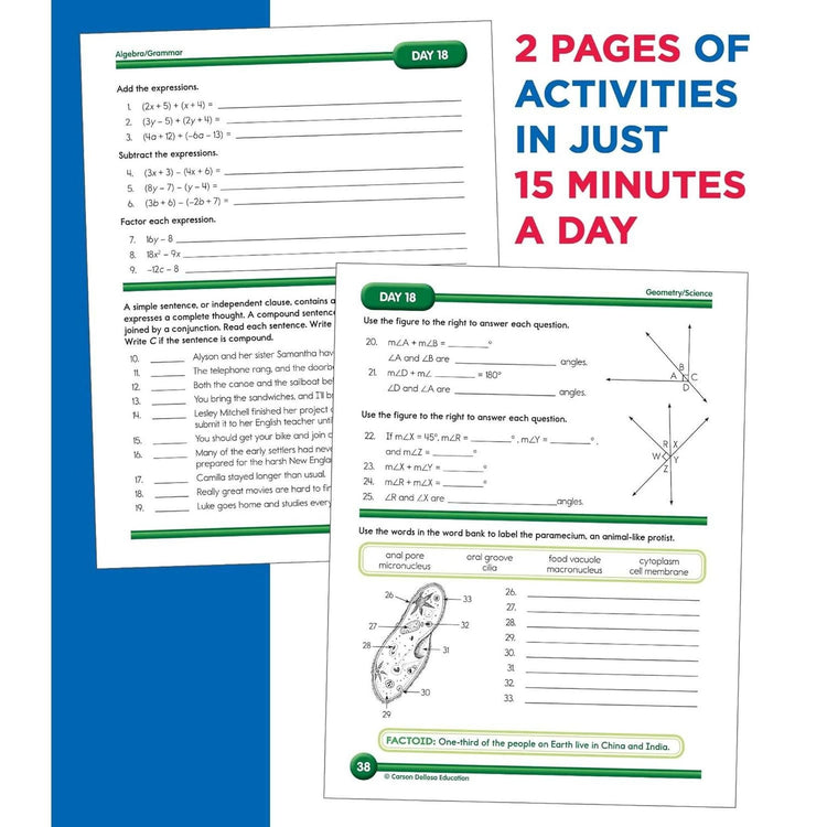 Summer Bridge Activities 7th going into 8th Grade Workbook - CR Toys
