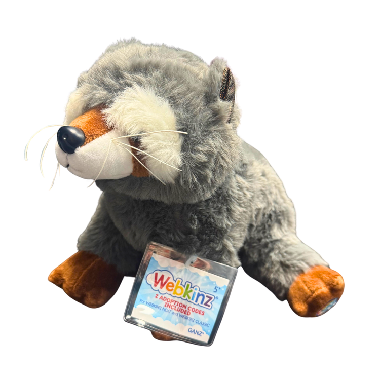 Webkinz Next | Raccoon - 2