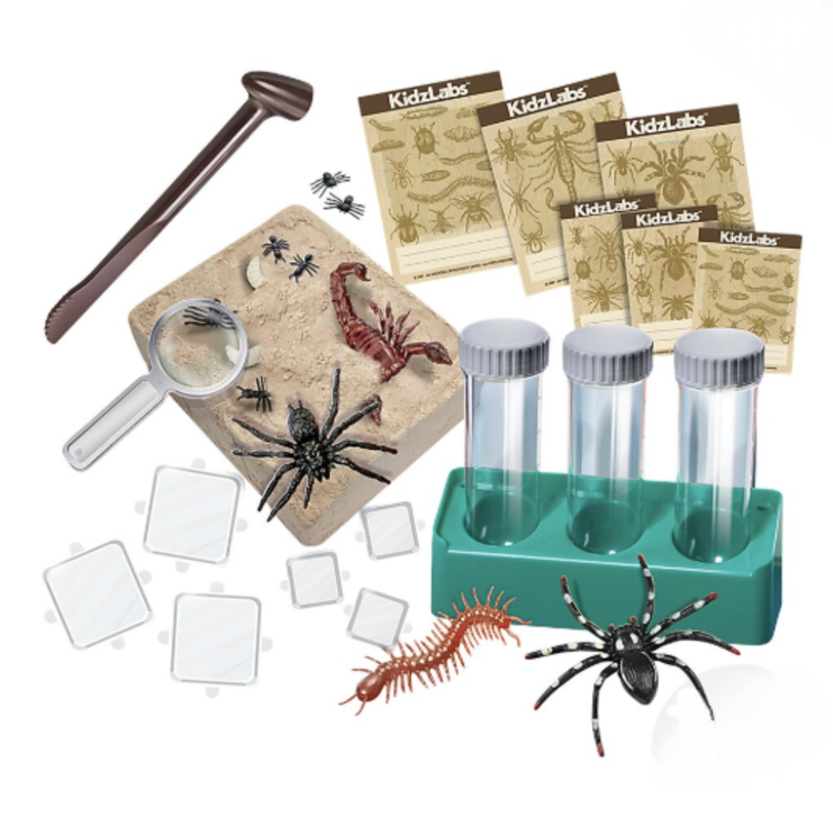 KidzLabs | Halloween Creepy Crawly Digging Lab 5+ - 4