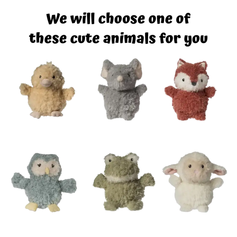 Rattle | Again Friends Assortment - CR Toys