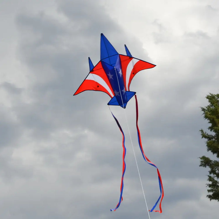 Kite | Patriot Jet Kite - 3