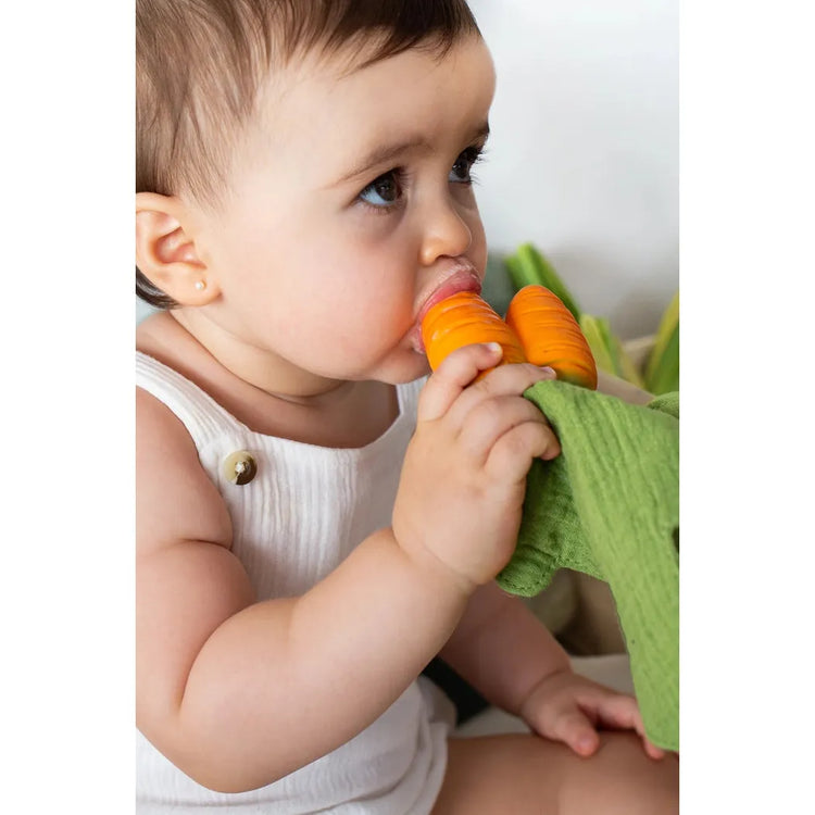 Cathy The Carrot Mini Doudou Teether |