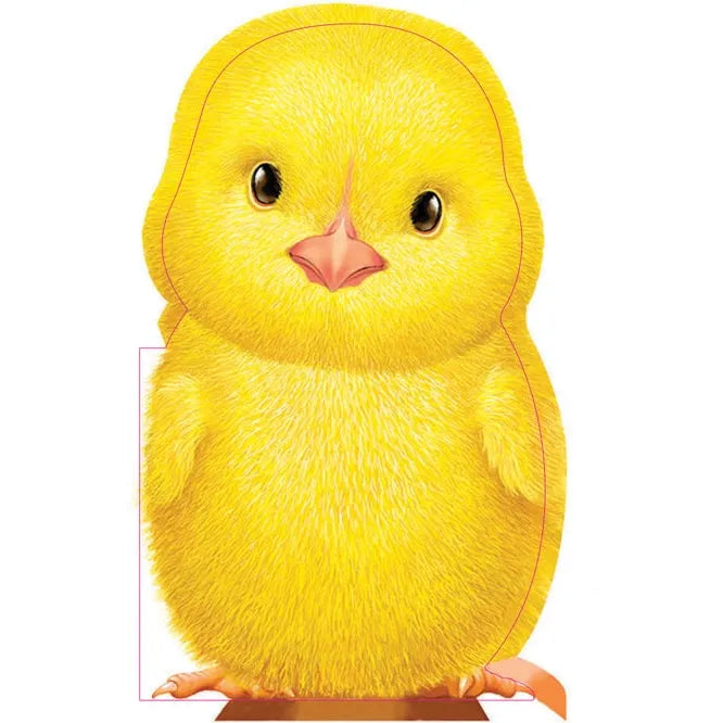 Furry Chick Boardbook