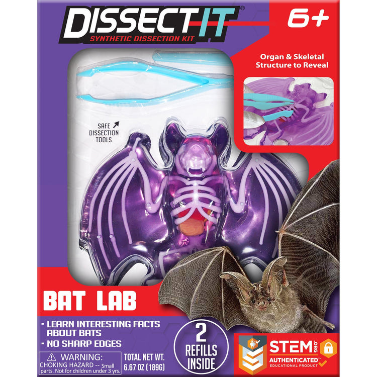 Dissect-It | Bat Lab Tst-1084